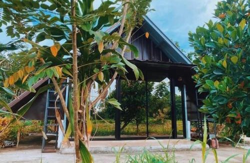 Santo Tomas Other | Lorenzo's Farm and Leisure