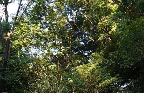 Puerto Jimenez Cabin | Los Mineros Guesthouse