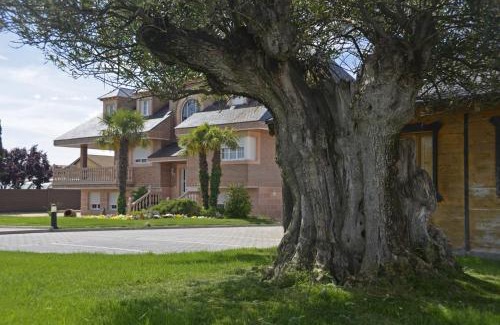 Nava de la Asuncion House | Los Olivos