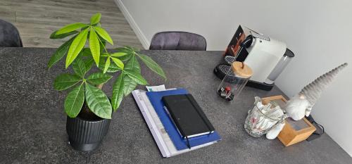 Ghiroda Apartment | Lotus