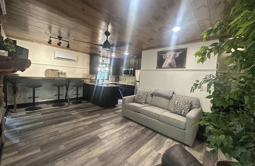 Ellijay Cabin | Lovely cottage/cabin on the Cartecay River in Ellijay