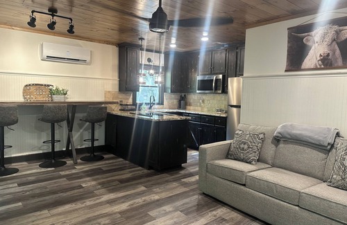 Ellijay Cabin | Lovely cottage/cabin on the Cartecay River in Ellijay