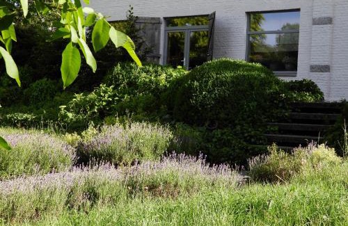 Hotton House | Lovely stay in Hotton, near Durbuy, RAvel, GP57 and the river l'Ourthe