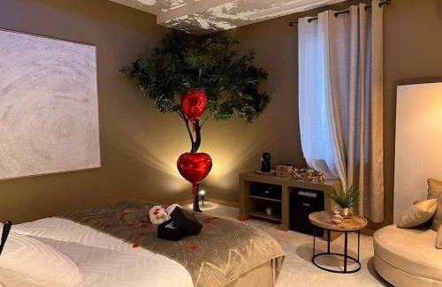 Jujurieux Apartment | Loving room cocooning avec jacuzzi « la terre »