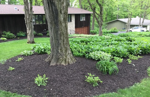Wausau House | Lower Level, Renovated, immaculate, private garage,View Granite Peak, licensed,