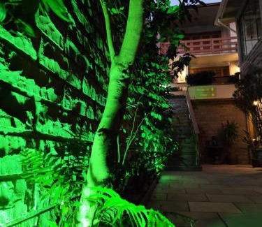 Bela Vista Bed & Breakfast | LSViver Hospedagem