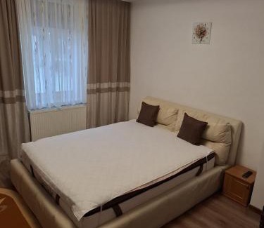 Lupeni Apartment | Luca&Sophia