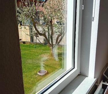 Grub Apartment | Lucy 1