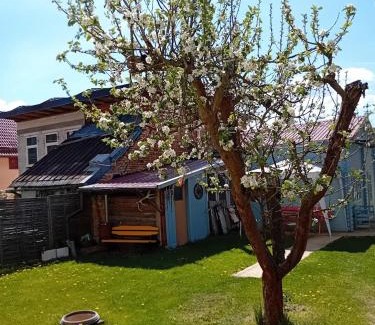 Grub Apartment | Lucy 1