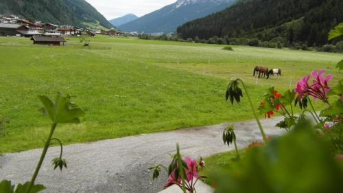 Neustift Im Stubaital House | Luenerhof