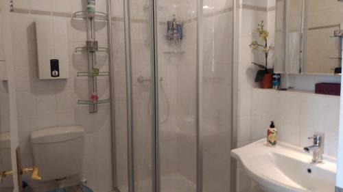 Aschhauserfeld Apartment | Luftikus