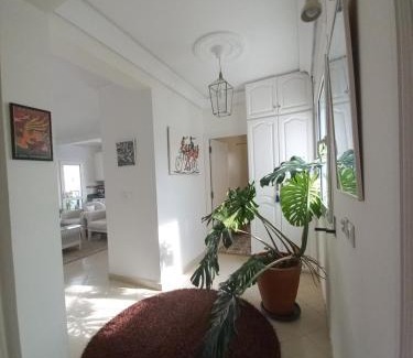 Marshan Apartment | Lumière de Tanger