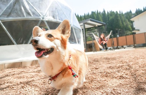 Eiheiji-cho Hotel | Lupo Forest "GRAN FOREST Echizen Miyama" - Vacation STAY 07123v