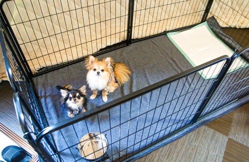 Eiheiji-cho Hotel | Lupo Forest "GRAN FOREST Echizen Miyama" - Vacation STAY 07123v