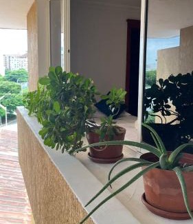 Riomar Apartment | LuRoFa