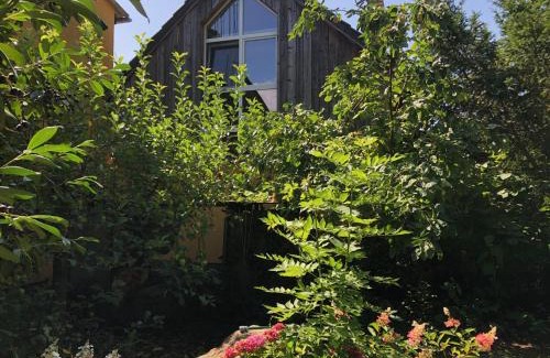 Lubben House | Lutki Dom