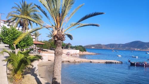 Porto Rafti Apartment | Luxurious apartment close to the beach and airport