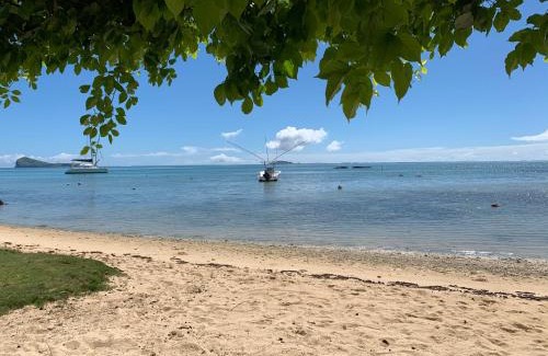Calodyne House | Luxury beachfront villa with private pool - Jolly's Rock