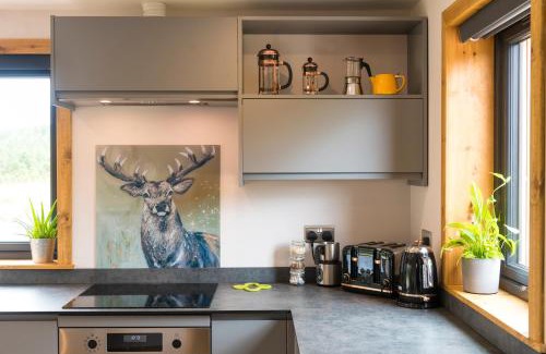 Glen Orchy Apartment | Luxury Cabins at Glenorchy Farm