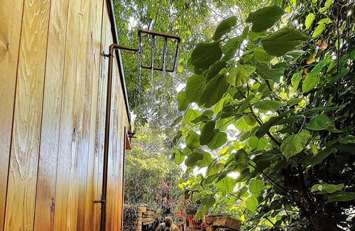 Camberwell Green Cabin | Luxury Hidden Garden Studio near Oval