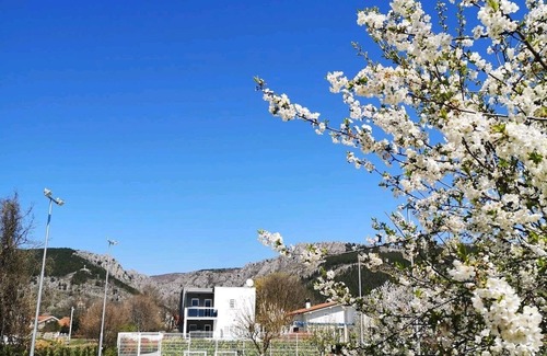 Donji Prolozac Villa | Luxury Home with Swimming Pool, Professional Tennis Court and Boccia Alley
