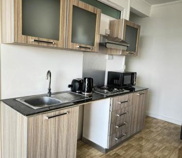 Flic-en-Flac Apartment | Luxury Penthouse with Rooftop Infinity Pool