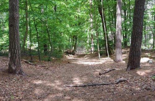 Jegum House | Luxury Retreat with Pool - By Traum Ferienwohnungen