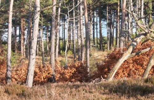 Jegum House | Luxury Retreat with Pool - By Traum Ferienwohnungen