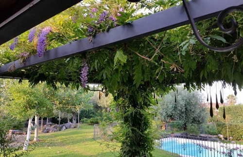 Acireale Villa | Luxury Villa with Large Pool, Vineyard, Views of the Sea, Taormina and Mt.Etna