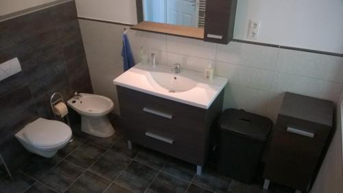 Siofok Aranypart House | Luxury villa with pool