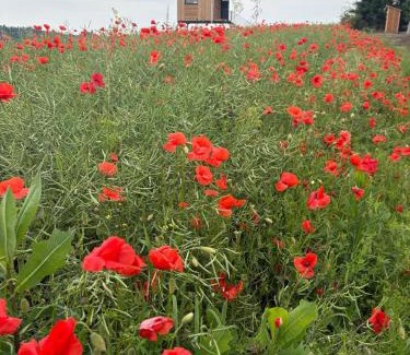 Ujezd pod Troskami Other | Luxusní chaty v Ráji & Romantický posed s výhledem na Trosky