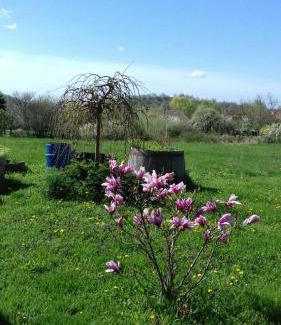 Cserkut Apartment | Mézesfészer apartman