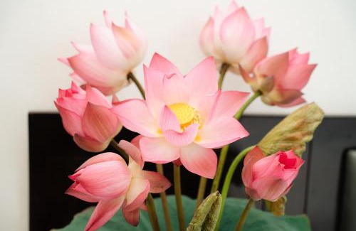 Hoa Lu Hotel | Madam Seven Tam Coc