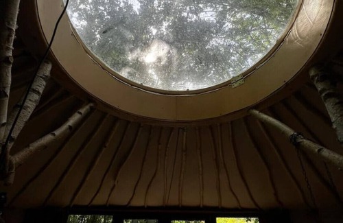 Kleve Cabin | Magical yurt - in the middle of nature
