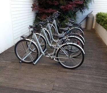 Faenza Bed & Breakfast | Magnolia Room & Breakfast