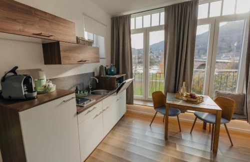 Miltenberg Apartment | MAINTERRASSE Boardinghouse am Fluss klimatisierte Apartments mit 80qm Terrasse