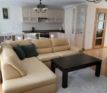 Kaunas Apartment | Maironio 21A apartments - City center - Free parking