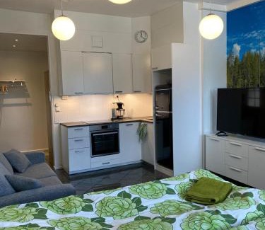 Vierema Apartment | Maisa's studio saunallinen huoneisto