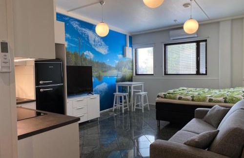 Vierema Apartment | Maisa's studio saunallinen huoneisto