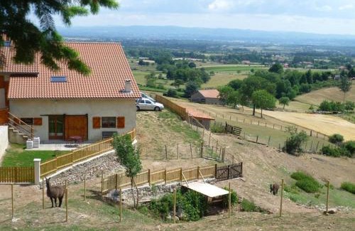 Saint-Andre-dʼApchon Apartment | Maison cosy avec spa, sauna et lamas à proximité de Roanne - FR-1-496-23