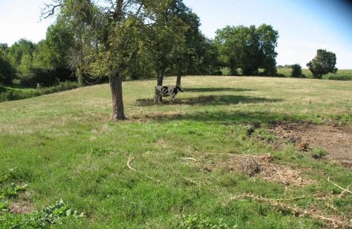 Bures House | Maison de caractère à Bures, proche du Perche avec jardin et Wi-Fi - FR-1-497-124