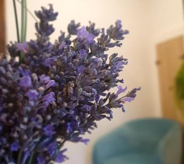 Auch Apartment | Maison de rue: Auch