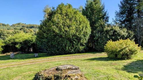 Bonnac-la-Cote House | Maison du cedre