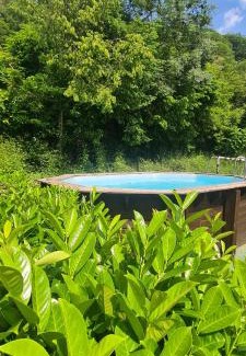 Saint-Amarin House | Maison piscine