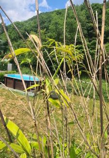 Saint-Amarin House | Maison piscine