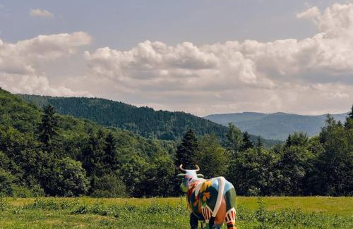 Makow Podhalanski House | Makolandia - dom w jałowcach