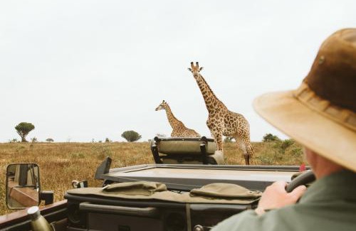 Magudu House | Makongo Hills Lodge