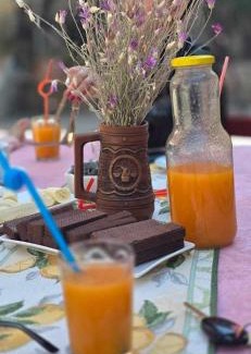 Mirzaani House | Mango guest house