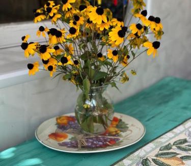 Mirzaani House | Mango guest house