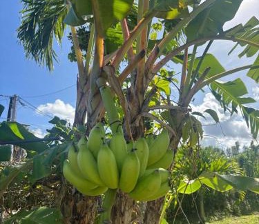 Sainte-Rose House | Mango-passion Le Domaine Mannou